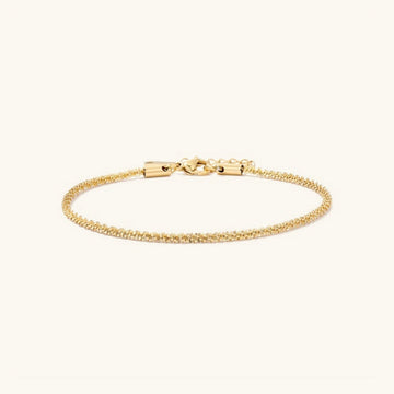 Abigail Gold Chain Anklet